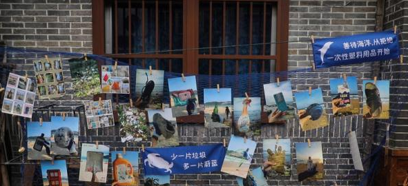 如何減少塑料垃圾污染？三亞“凈塑城市”試點(diǎn)有妙招